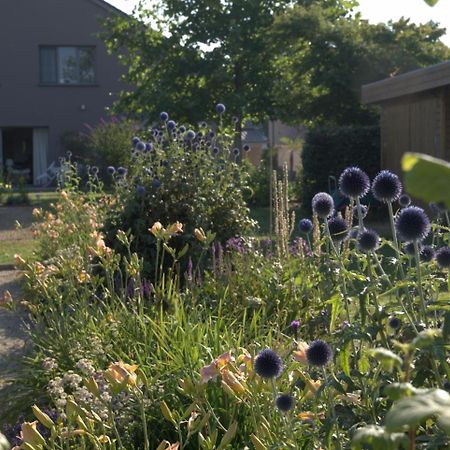 Bed and Breakfast Barbara'S Bed & Breakfast Sterrebeek Exteriér fotografie